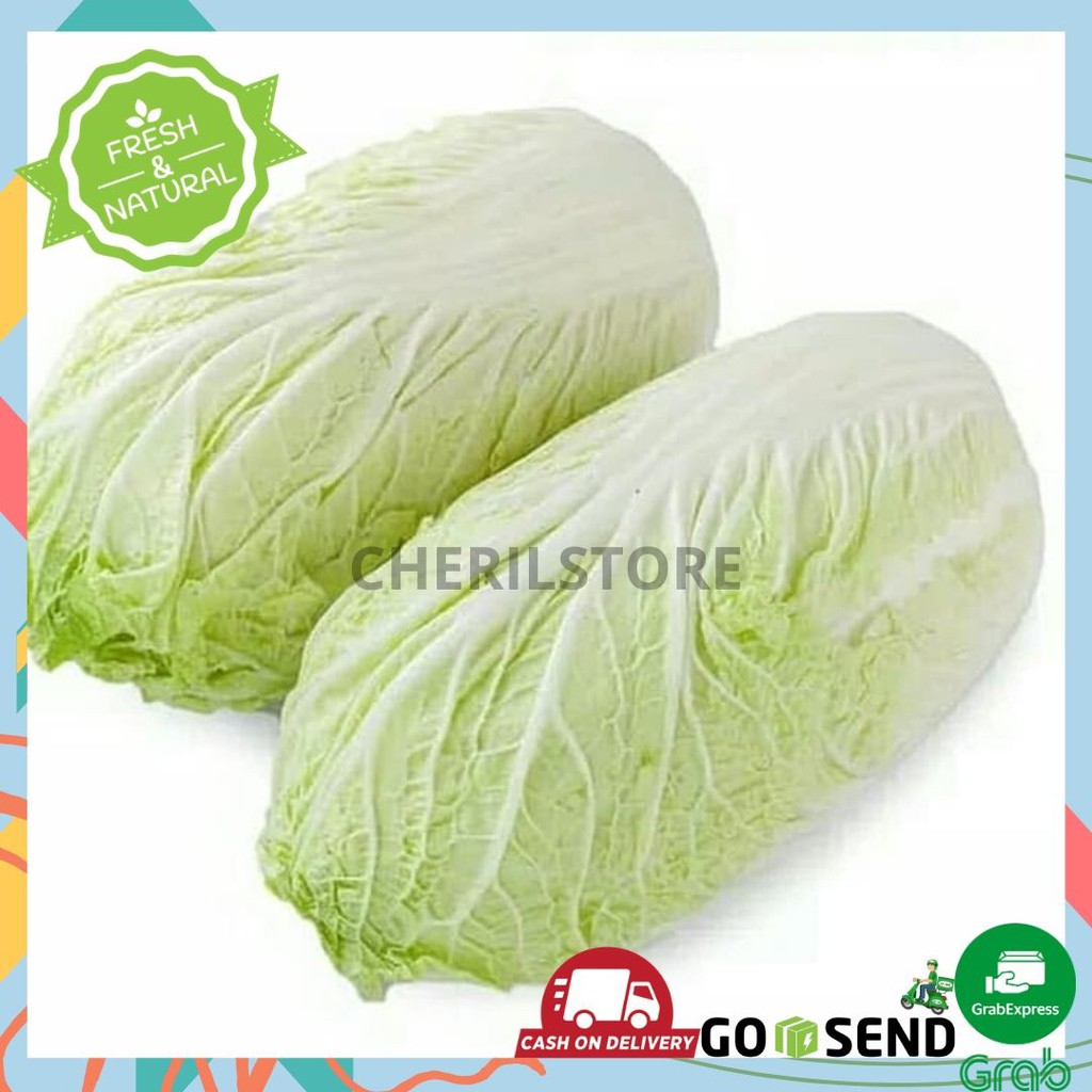 SAWI PUTIH / CHINESE CABBAGE SAYUR SAYURAN FRESH 500gram