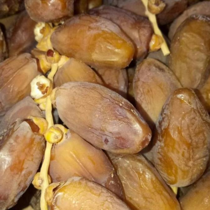 

TERBARU Kurma Palm Tunis Tangkai 500gr/Natural Dates Deglet nour of tunisia/KURMA 1KG/KURMA BARARI/KURMA RUTHOB/KURMA BAM/KURMA PALM FRUIT/KURMA TANGKAI/KURMA AZWA/KURMA SUKKARI/KURMA SAFAWI/KURMA TUNISIA/KURMA MUDA KUNING/KURMA MUDA HIJAU/KURMA