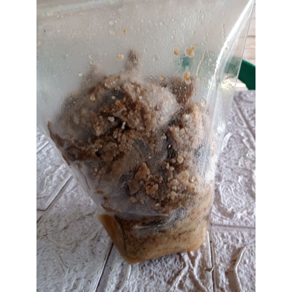 

Wadi Babi Kampung (WBK) 1kg