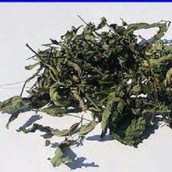 

DAUN SIDOGORI / KAHINDA / SALIGURI 500 g