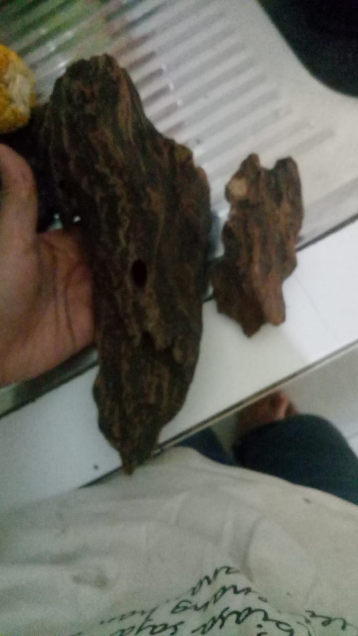Kayu Rentek Ukuran S