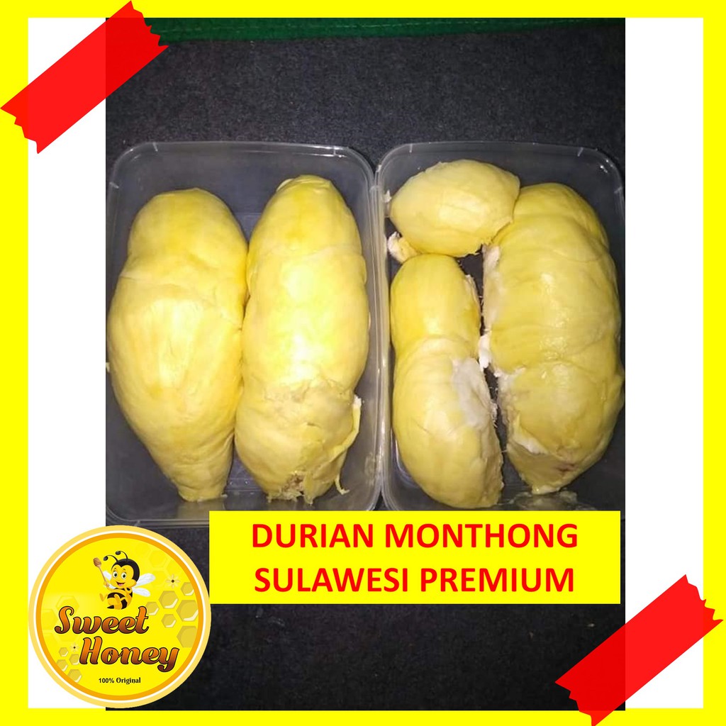 Durian Kupas Montong Sulawesi Kualitas Premium