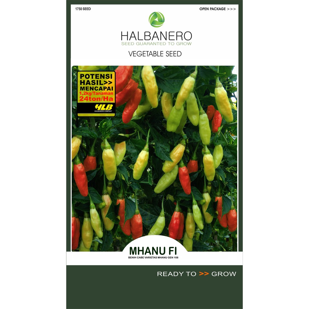 Benih Cabe Mhanu F1