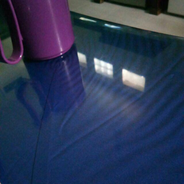 Tanaman Hias Calathea Fusion - Maranta Tisu- Meranti Kapas