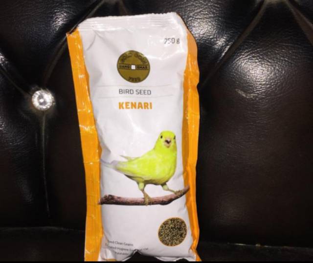 Gold coin kenari - pakan kenari