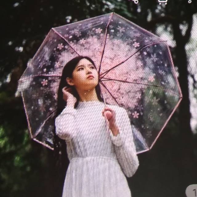 ( Ready) payung lipat transparan motif bunga sakura.