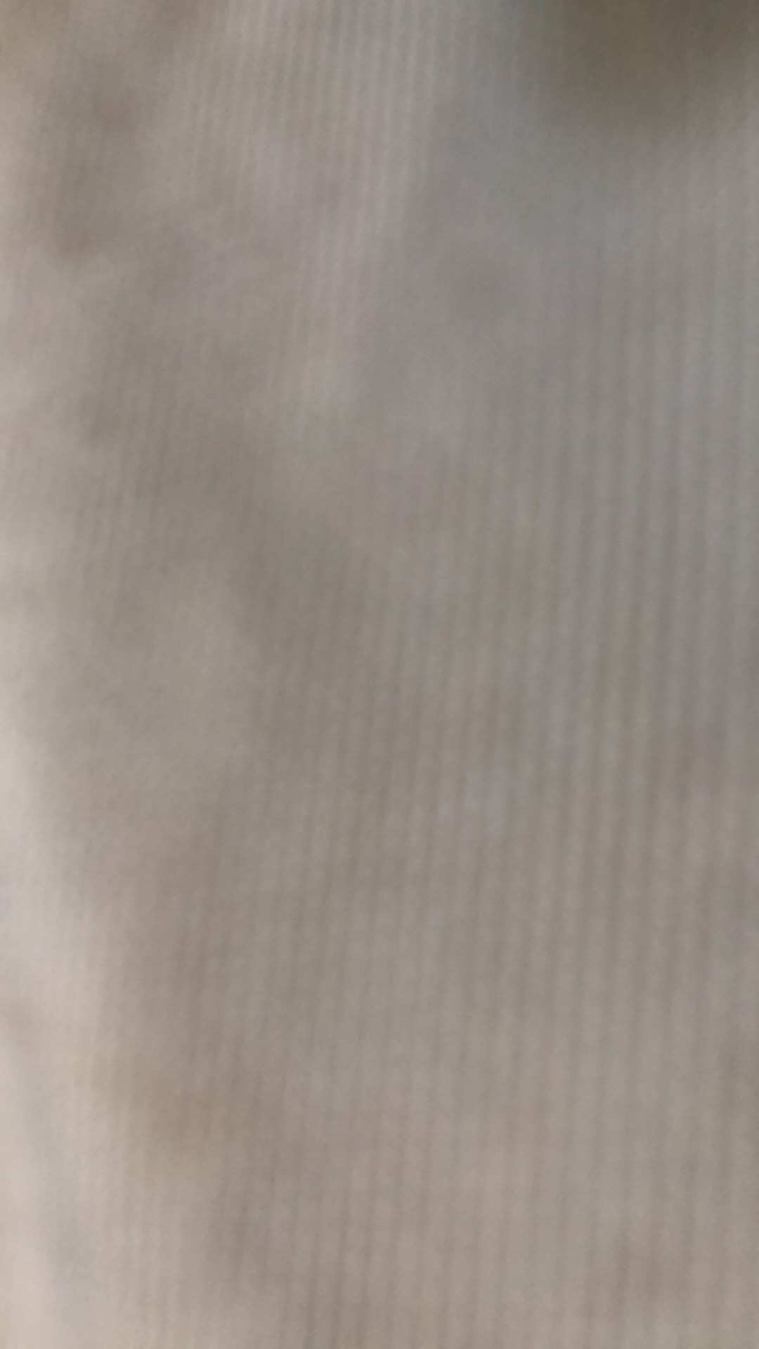 Lunch Box / Tempat Makan / Kotak Makan Sekat Clio Yokohama Per Buah