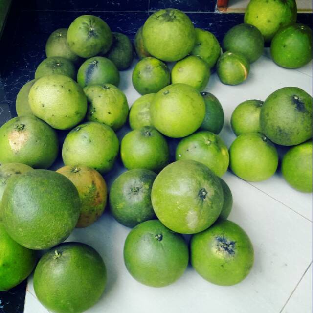 

Jerok bali/pamelo