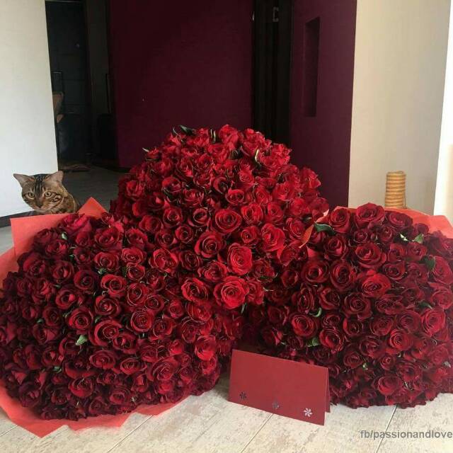 tyarapriskillagreeyyani