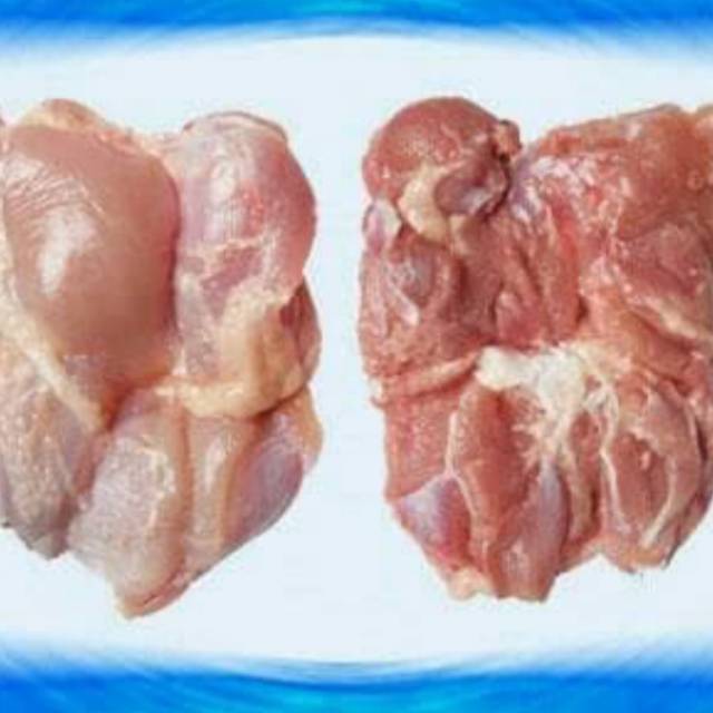 

Fillet paha polos