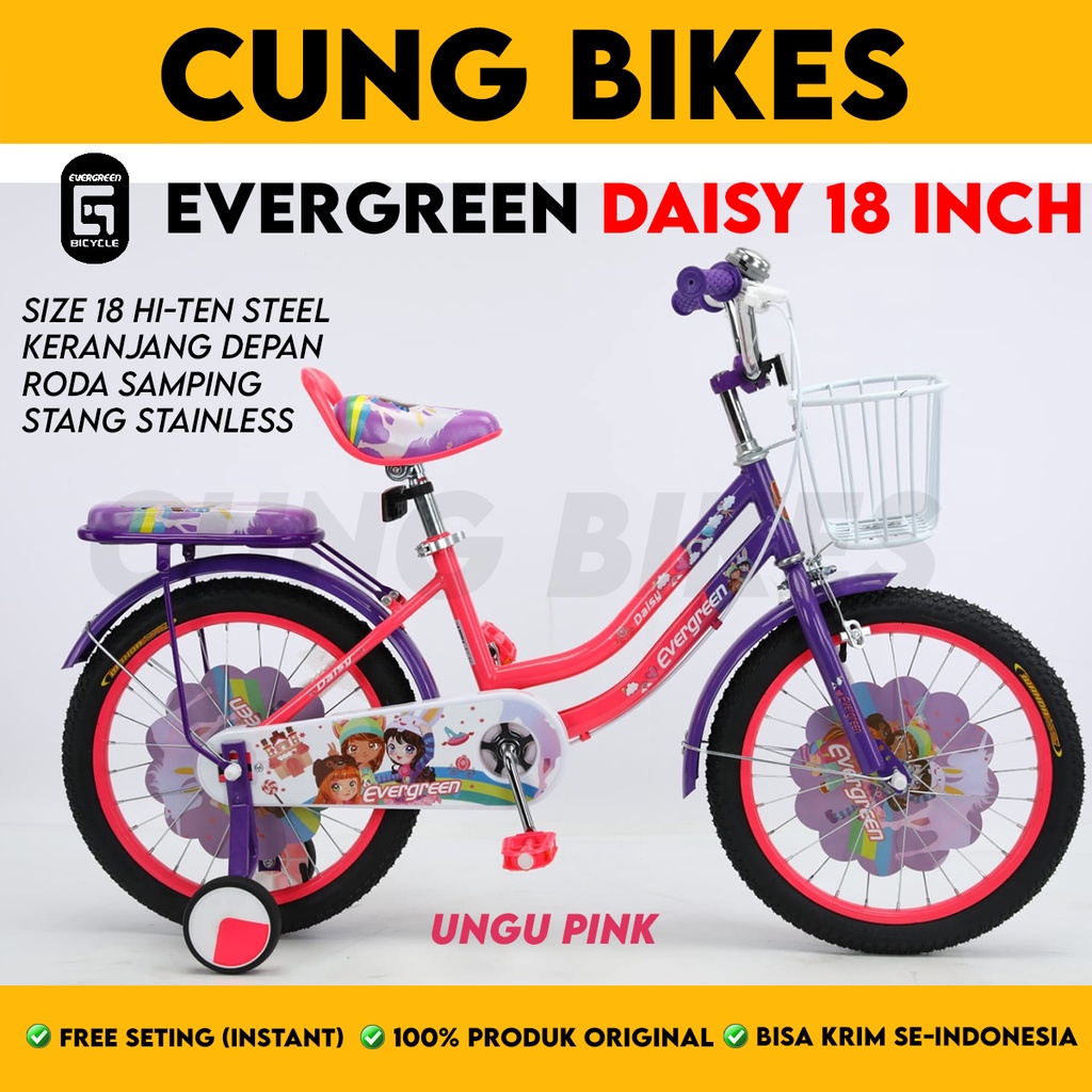 SEPEDA ANAK PEREMPUAN MINI 18 Inch EVERGREEN DAISY good quality