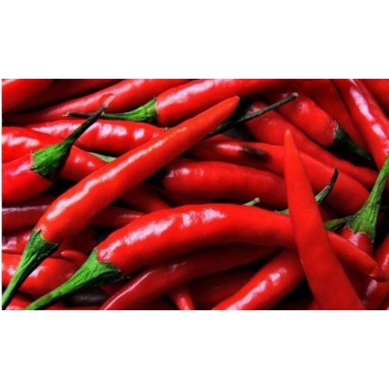 

Cabe Merah Besar UK 1kg
