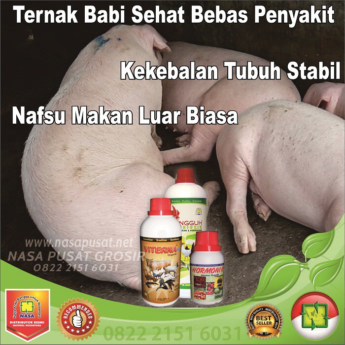 Vitamin Nafsu MakanTernak Babi