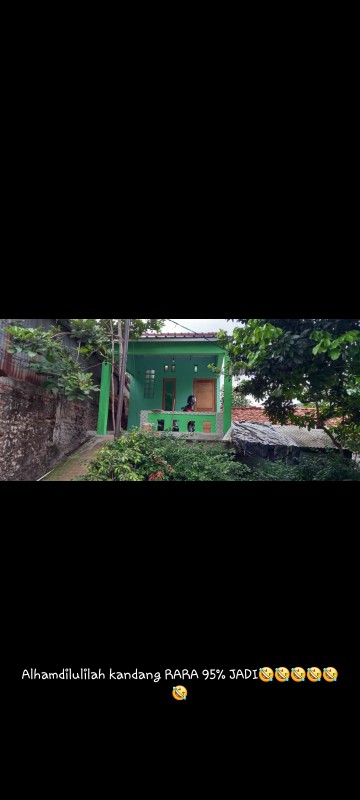 Cat Tembok Qluc 20kg Dari Nippon Paint