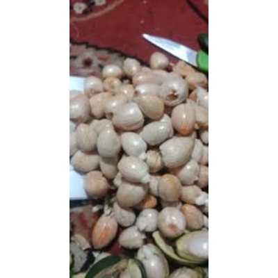 Buah Pinang Muda Kupas 1 Kg