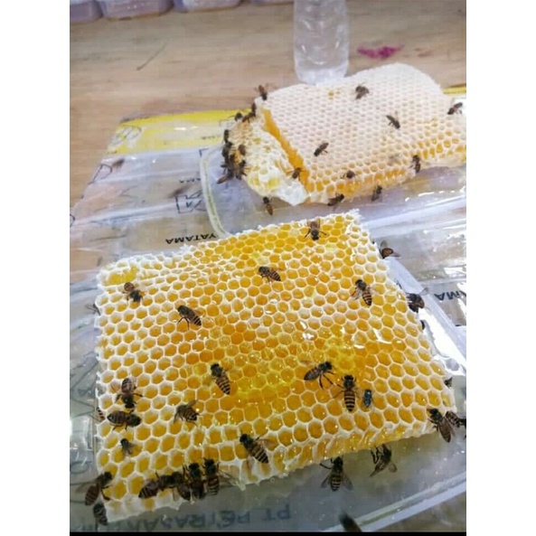 

sarang madu melifera 500gram