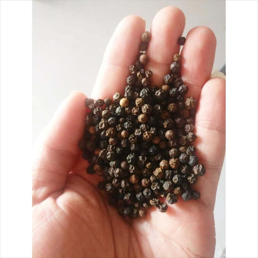 Lada Hitam Utuh / Whole Pure Black Pepper 500 GR