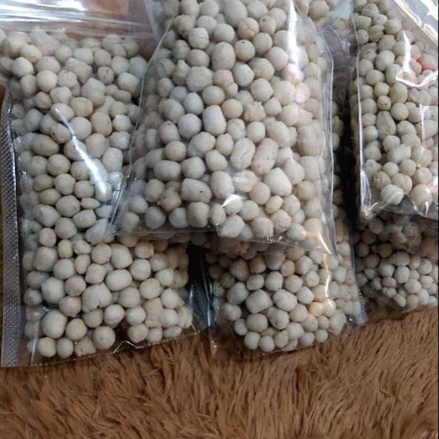 

Pilus cikur / sukro cikur kencur