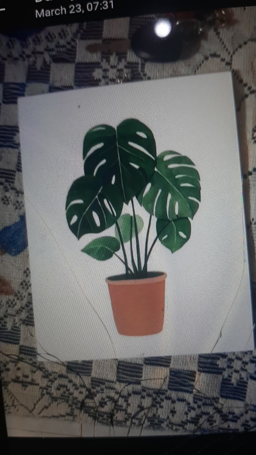 Hiasan Dinding Poster Dekorasi Rumah Tanaman Monstera Pajangan