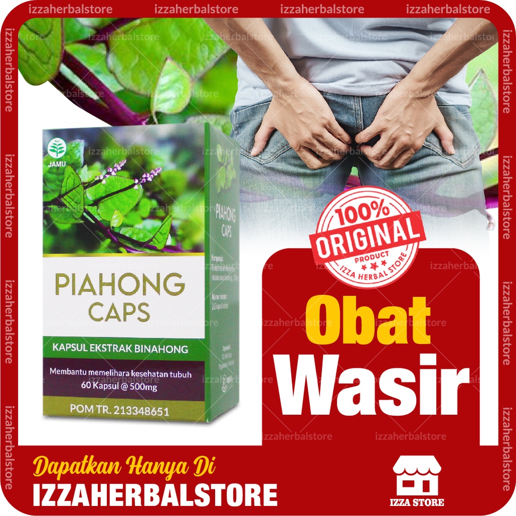 OBAT WASIR Piahong Caps Kapsul Ekstrak Daun Binahong Mampu Mengatasi Wasir Ambeien Paling AMPUH