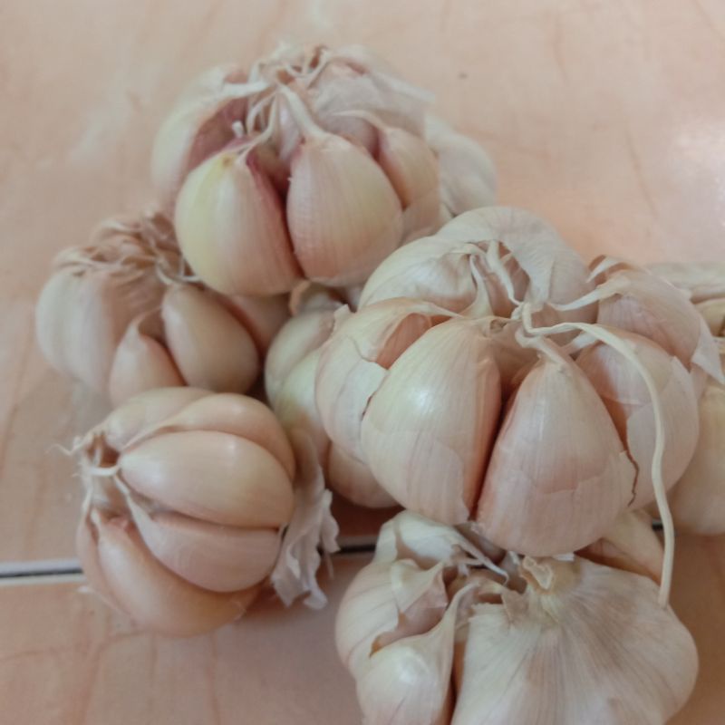 

bawang putih 250gr