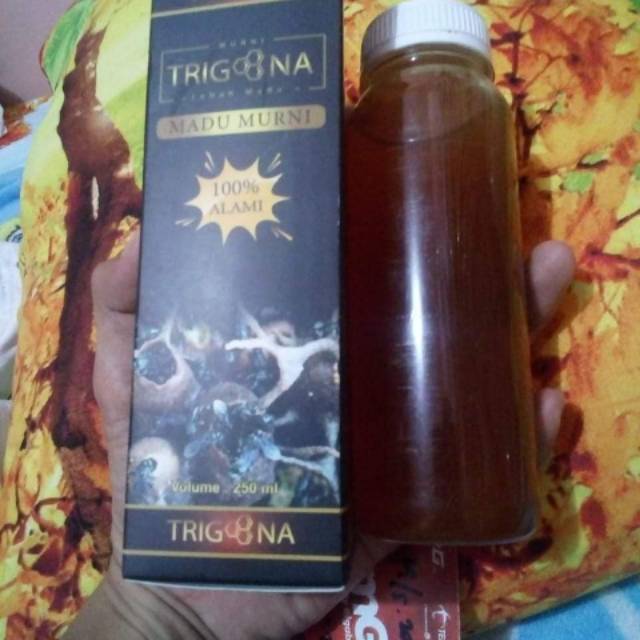 

Madu trigona