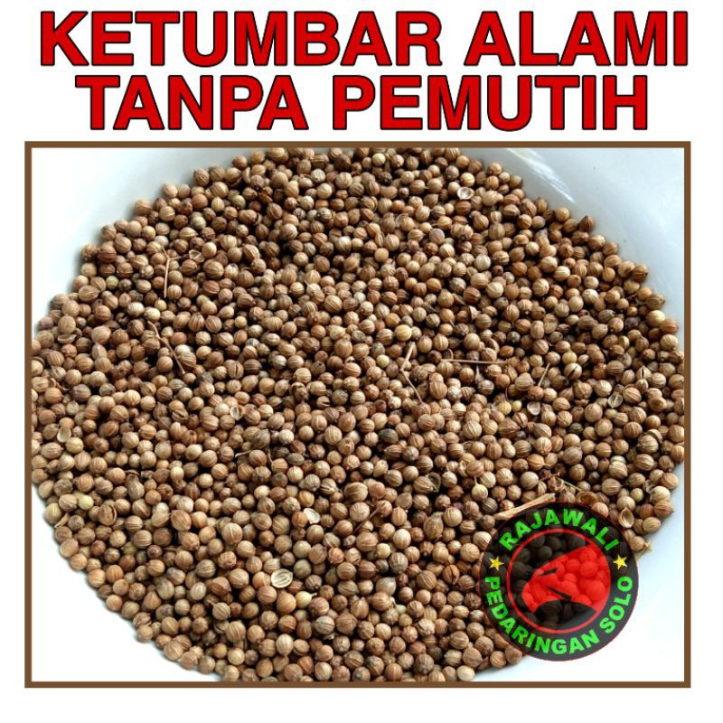 

KETUMBAR ALAMI RESEP JSR