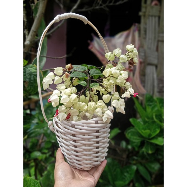 vas bunga rotan sintetis pot vas bunga rotan unik