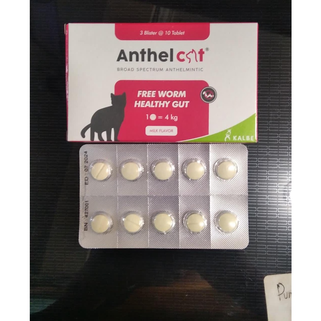 ANTHEL CAT OBAT CACING KUCING PER  TABLET OBAT CACING