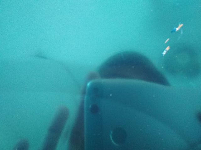 Timbangan Digital Laundry / Timbangan Digital Buah Vanstar 40kg