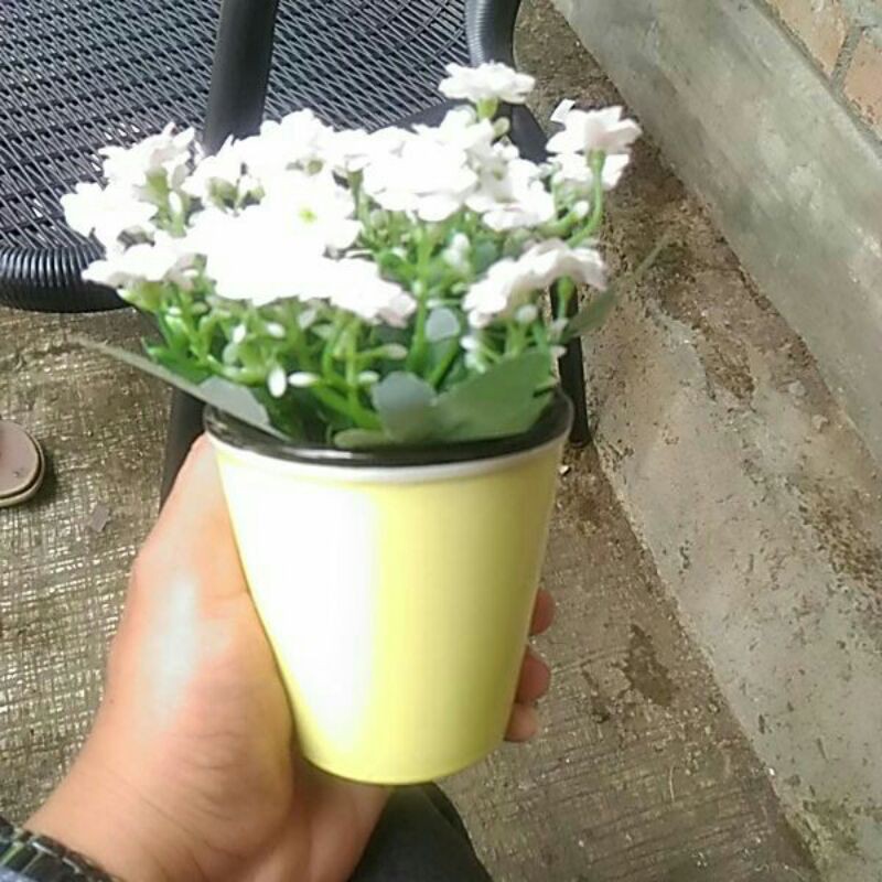pot bunga plastik