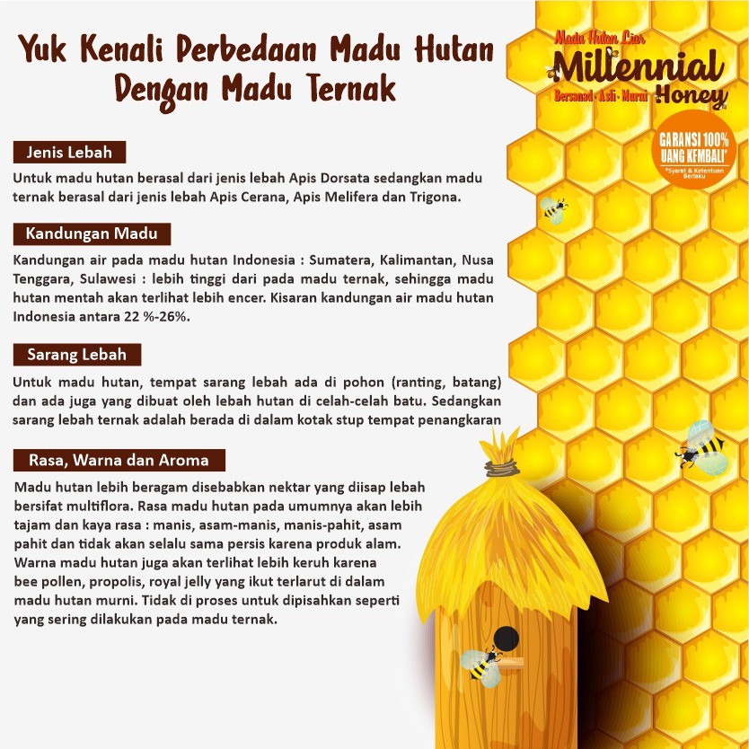 Madu Hutan Sumatra MIllinial Honey / Madu Hutan Alis Garansi 100% Uang Kembali - Berat 560gr -