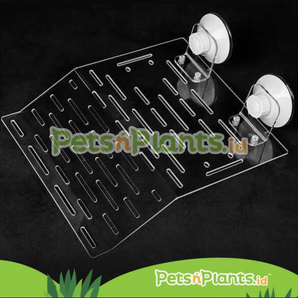 Tempat Berjemur Kura Kura Air Brazil Akrilik Import Crystal Clear PnP - Turtle Acrylic Basking Spot