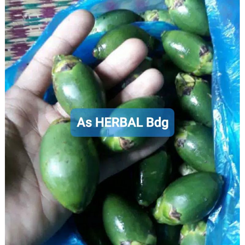 

Buah pinang muda hemat 250 gram-az