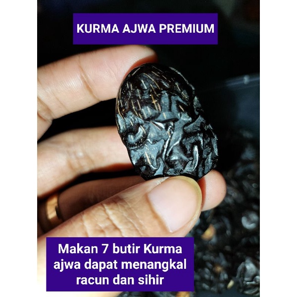 

KURMA AJWA 500GRAM BONUS SABUN BIDARA RUQYAH