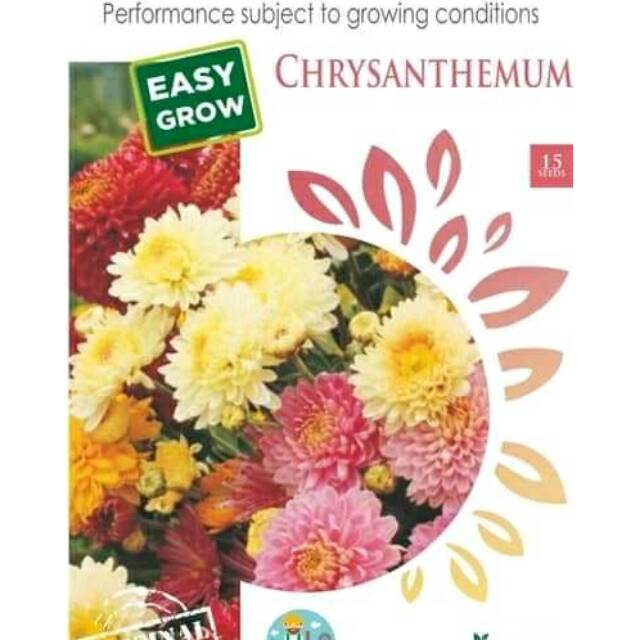 

CHRYSANTEMUM isi 15 biji