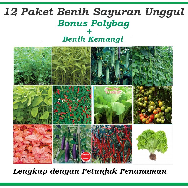 Paket Hemat Benih Eceran (Tomat, Terong, Sawi, Bayam, Cabe, Dll)