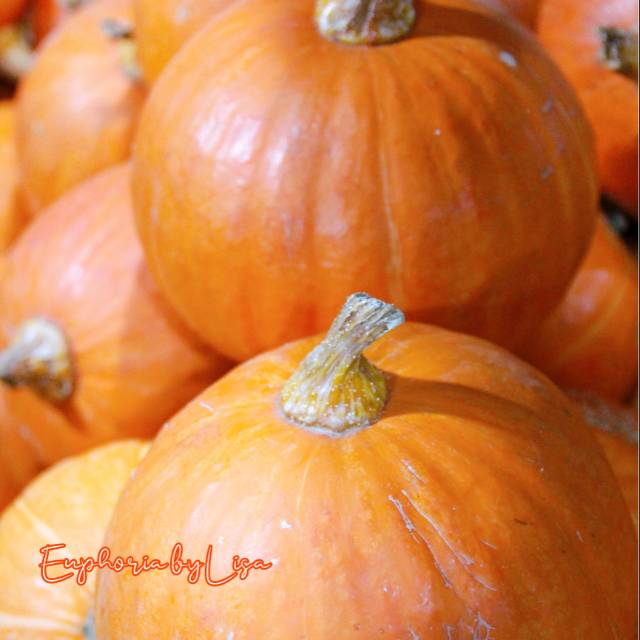 

Postcard (kartu pos / kartu ucapan) Pumpkin