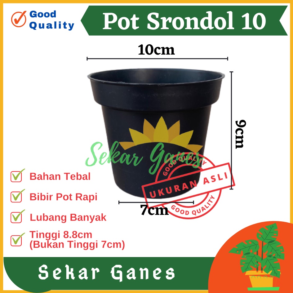 POT 10 CM HITAM MURAH - POT BULAT KECIL BISA UNTUK VAS BUNGA - POT TANAMAN 10CM HITAM BENIH KECIL OK