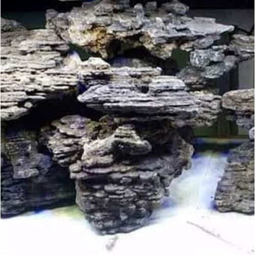 Batu Besi 1kg Hardscape Aquascape 1 kg Hiasan Aquarium Iron Stone