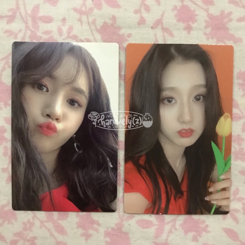[Ready] Lovelyz Once Upon A Time Photocard - pc official ouat jin myungeun yein
