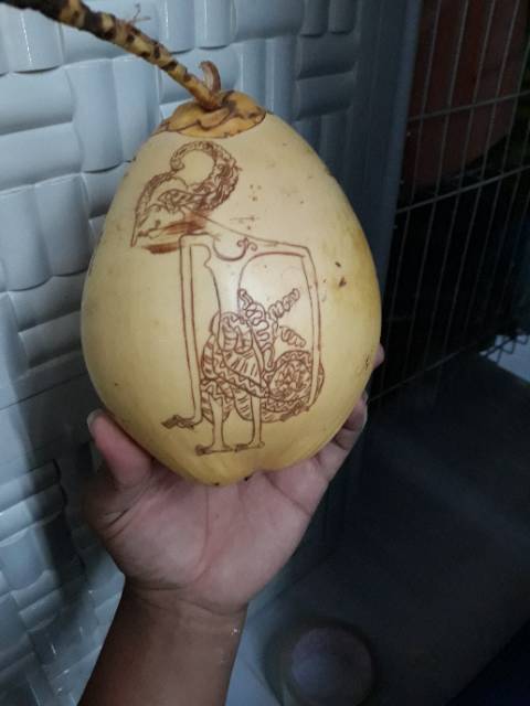 35 Ide Gambar Wayang Di Kelapa Mitoni AsiaBateav