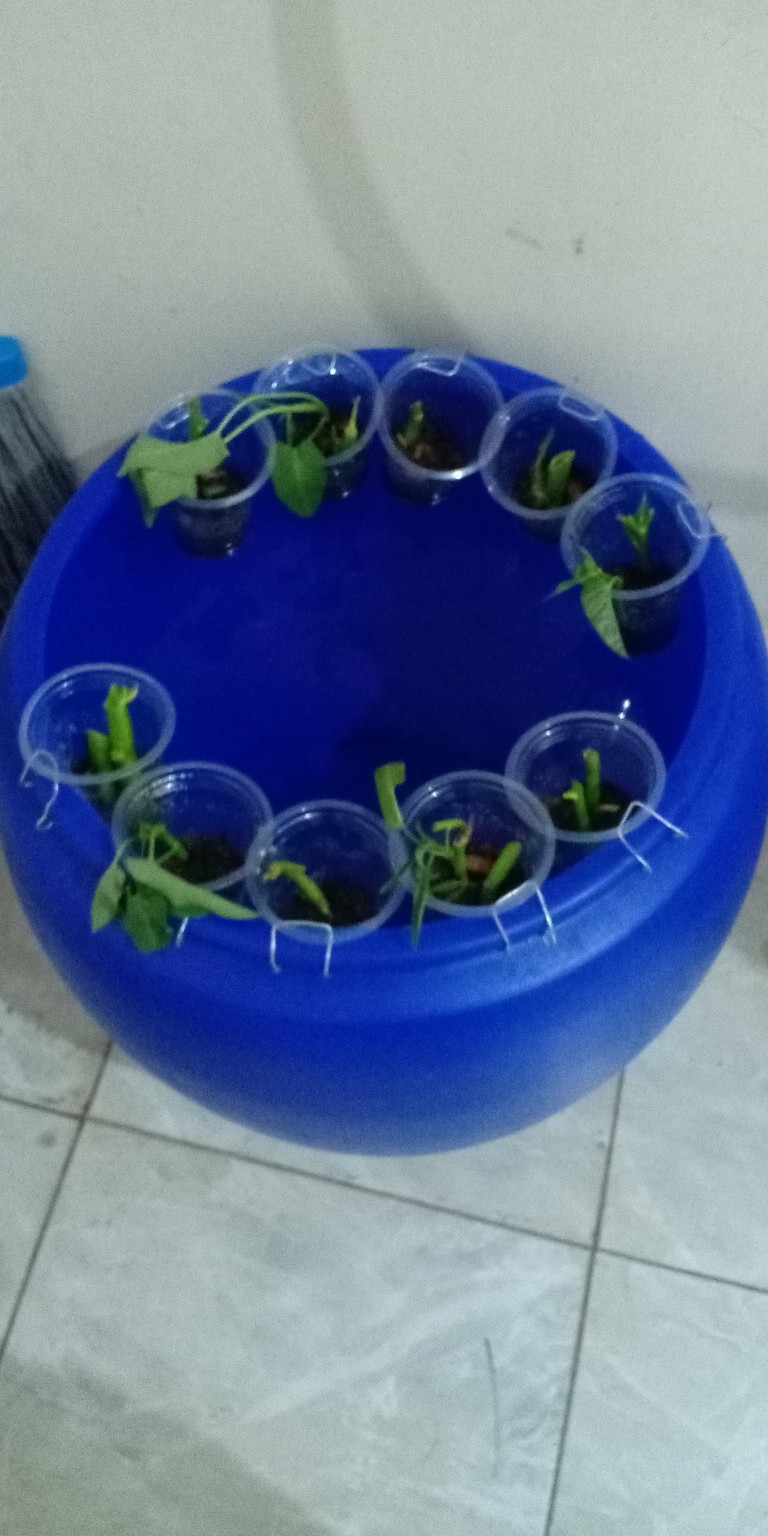 Tong Air 120 Liter Bulet Green Leaf