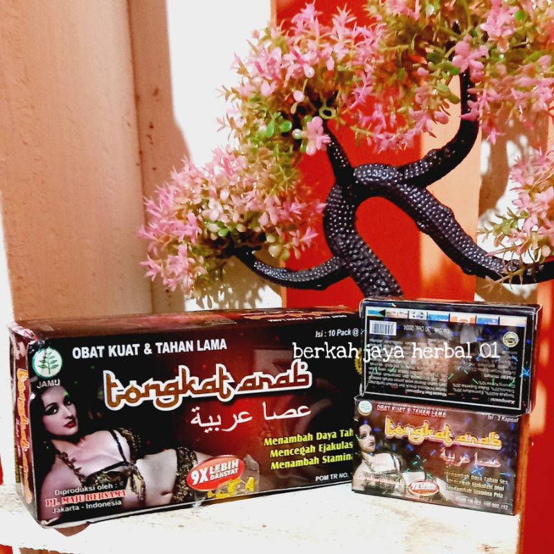 TONGKAT ARAB ORIGINAL