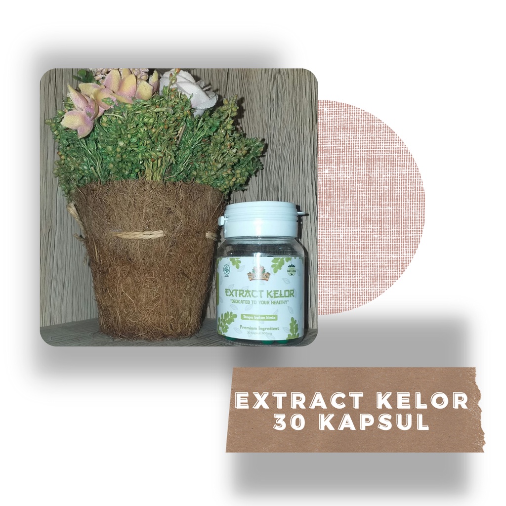 JAMU MILKYMOND EXTRACK DAUN KELOR / MORINGA OLEIFERA 100% HERBAL UNTUK IBU HAMIL &amp; MENYUSUI