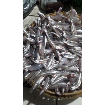 

ikan teri basah 500grm