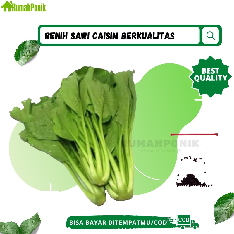 Ratusan Benih Sayuran Caisim / Benih Caisim / Bibit Caisim