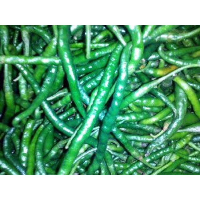 

Cabe kriting hijau seperapat