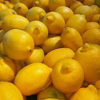 

Lemon Bandung / Lemon Import