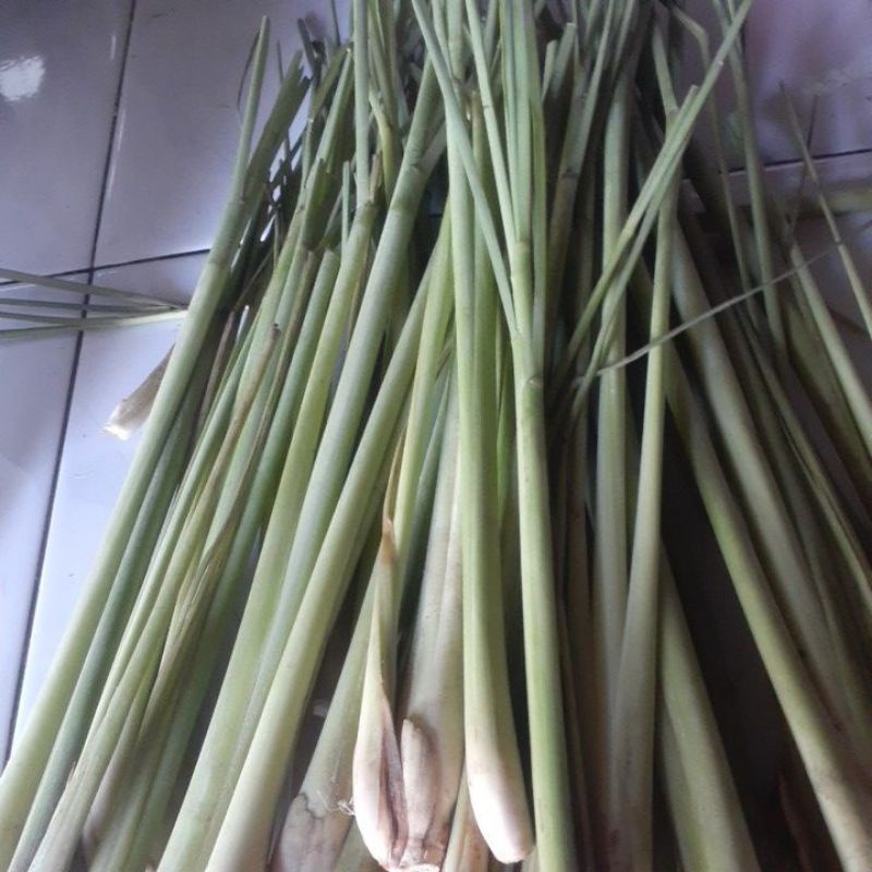 

sereh bumbu masak serai bumbu masak 1kg